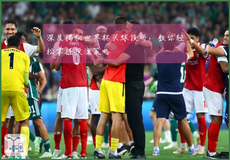 深度揭秘世界杯买球技巧，教你轻松掌握投注策略