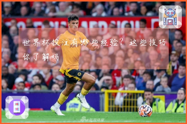 世界杯投注有哪些经验？这些技巧你了解吗