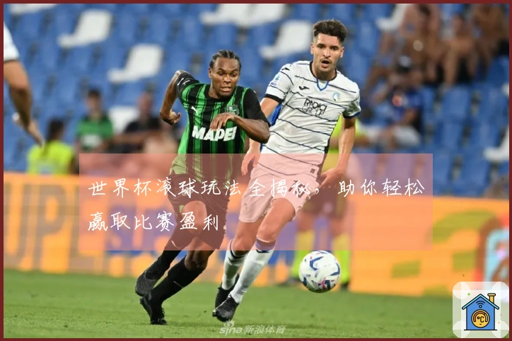 世界杯滚球玩法全揭秘，助你轻松赢取比赛盈利
