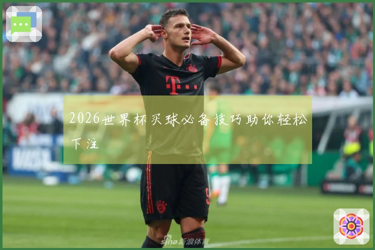 2026世界杯买球必备技巧助你轻松下注