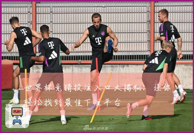 世界杯竞猜投注入口大揭秘：让你轻松找到最佳下注平台