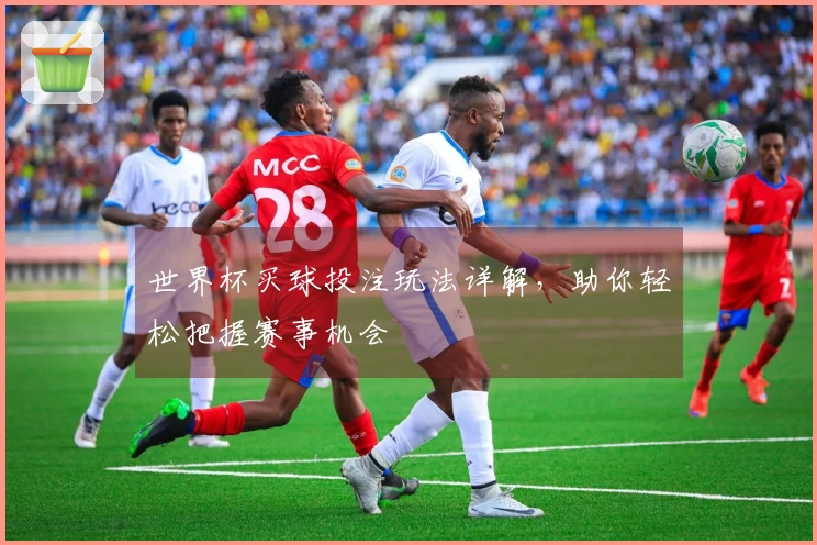 世界杯买球投注玩法详解，助你轻松把握赛事机会